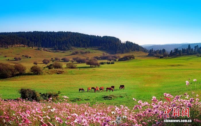 特魅力, com, 法国 特魅力, com, 法国