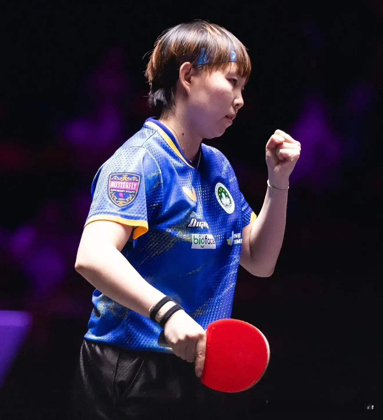 AA, stron, 莎领衔